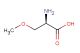 (R)-2-amino-3-methoxylpropanoic acid