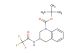 tert-butyl 3-(2,2,2-trifluoroacetamido)-3,4-dihydroquinoline-1(2H)-carboxylate