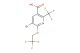 5-bromo-6-(2,2,2-trifluoroethoxy)-2-(trifluoromethyl)nicotinic acid