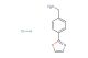 (4-(oxazol-2-yl)phenyl)methanamine hydrochloride