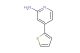 4-(thiophen-2-yl)pyridin-2-amine