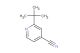2-(tert-butyl)isonicotinonitrile