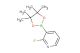 2-fluoro-3-(4,4,5,5-tetramethyl-1,3,2-dioxaborolan-2-yl)pyridine