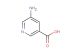 5-aminonicotinic acid