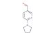 6-(pyrrolidin-1-yl)nicotinaldehyde