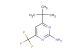 4-(tert-butyl)-6-(trifluoromethyl)pyrimidin-2-amine