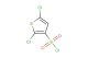 2,5-dichlorothiophene-3-sulfonyl chloride