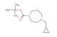 tert-butyl 4-(cyclopropylmethyl)-1,4-diazepane-1-carboxylate