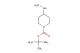 tert-butyl 4-(methylamino)piperidine-1-carboxylate