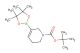 tert-butyl 3-(4,4,5,5-tetramethyl-1,3,2-dioxaborolan-2-yl)-5,6-dihydropyridine-1(2H)-carboxylate