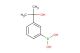 3-(2-hydroxypropan-2-yl)phenylboronic acid