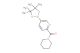 piperidin1-yl(5-(4,4,5,5-tetramethyl-1,3,2-dioxaborolan-2-yl)pyridin-2-yl)methanone