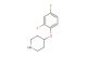 4-(2,4-difluorophenoxy)piperidine
