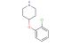 4-(2-chlorophenoxy)piperidine
