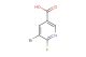 5-bromo-6-fluoronicotinic acid
