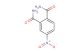 4-nitrophthaldiamide