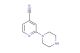 2-piperazin-1-ylpyridine-4-carbonitrile