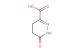 1,4,5,6-tetrahydro-6-oxopyridazine-3-carboxylic acid