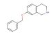7-(benzyloxy)-1,2,3,4-tetrahydroisoquinoline