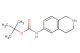 (1,2,3,4-tetrahydro-isoquinolin-6-yl)-carbamic acid tert-butyl ester