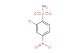 2-chloro-4-nitrobenzenesulfonamide