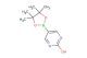 5-(4,4,5,5-tetramethyl-[1,3,2]dioxaborolan-2-yl)pyrimidin-2-ol