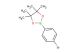 2-(4-bromo-phenyl)-4,4,5,5-tetramethyl-[1,3,2]dioxaborolane