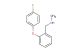 1-[2-(4-fluorophenoxy)phenyl]-N-methylmethylamine