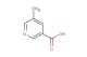 5-methylnicotinic acid