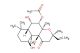 Forskolin (Synonyms: Coleonol; Colforsin; HL 362)