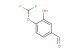 4-difluoromethoxy-3-hydroxybenzaldehyde
