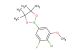 2-(4-chloro-3-fluoro-5-methoxyphenyl)-4,4,5,5-tetramethyl-1,3,2-dioxaborolane