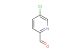 5-chloro-2-formylpyridine
