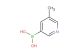 5-methylpyridine-3-boronic acid