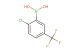 2-chloro-5-trifluoromethylphenylboronic acid