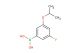 3-fluoro-5-isopropoxyphenylboronic acid
