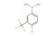 4-chloro-3-trifluoromethylphenylboronic acid