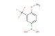 4-methoxy-3-trifluoromethylphenylboronic acid