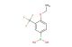 4-ethoxy-3-trifluoromethylphenylboronic acid