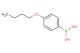 4-butoxyphenylboronic acid