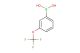 3-trifluoromethoxyphenylboronic acid