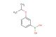 3-isopropoxyphenylboronic acid