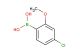 4-chloro-2-methoxyphenylboronic acid