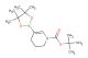tert-butyl 5-(4,4,5,5-tetramethyl-1,3,2-dioxaborolan-2-yl)-3,4-dihydropyridine-1(2H)-carboxylate