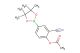 2-cyano-4-(4,4,5,5-tetramethyl-1,3,2-dioxaborolan-2-yl)phenyl acetate