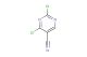 2,4-dichloropyrimidine-5-carbonitrile