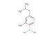2-amino-4-(2-methylpropyl)phenyl boronic acid