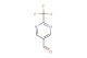 2-(trifluoromethyl)pyrimidine-5-carbaldehyde