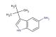 3-tert-butyl-1H-indol-5-amine
