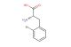 (R)-2-amino-3-(2-bromophenyl)propanoic acid